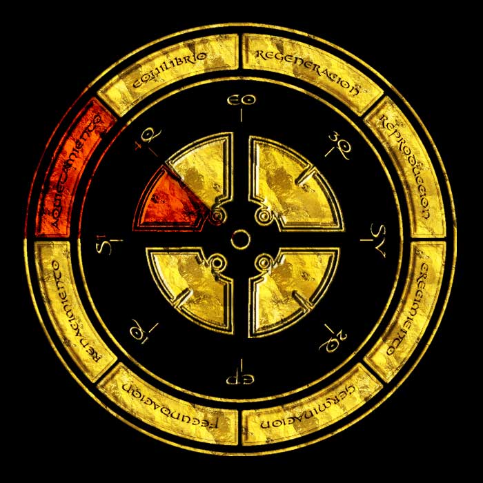 Para Sincronizarse al Aquietamiento – To Synchronize to Appeasement Synkro Aquieta